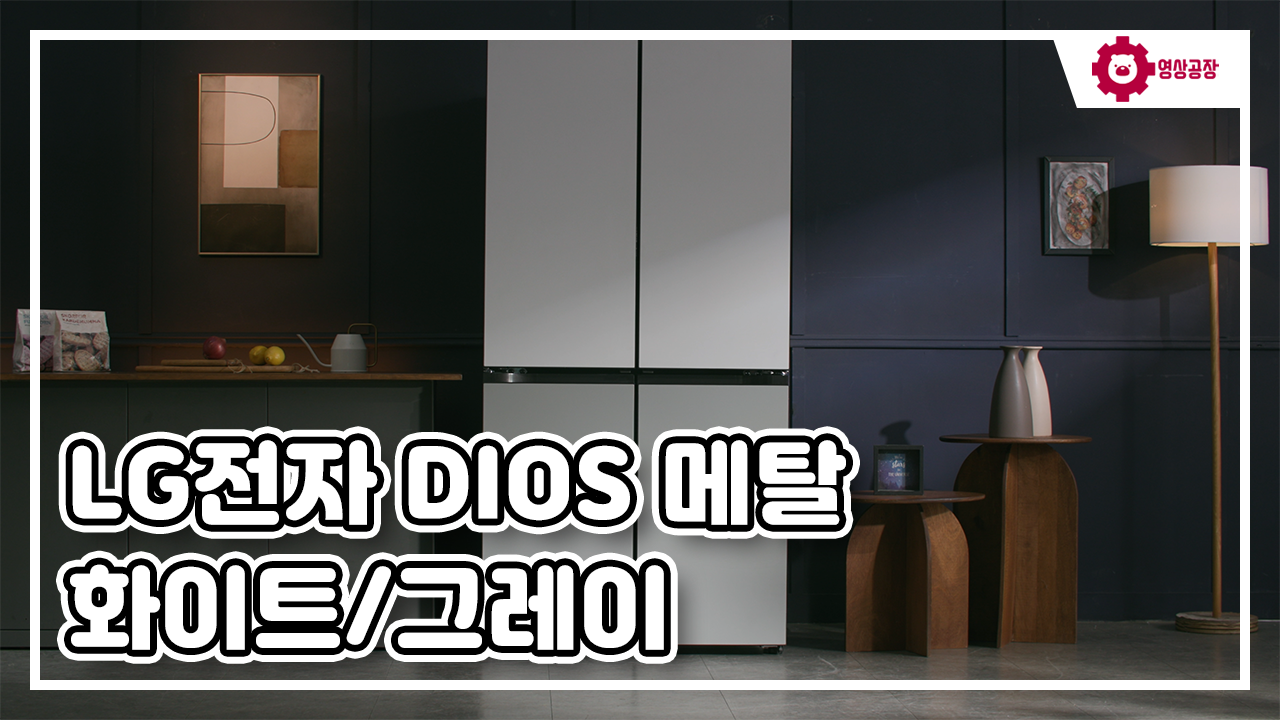 LG전자 DIOS 메탈 화이트/그레이