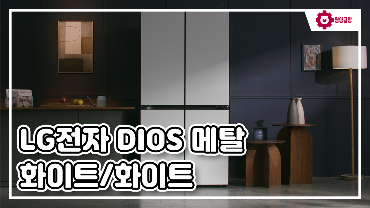 LG전자 DIOS 메탈 화이트/화이트